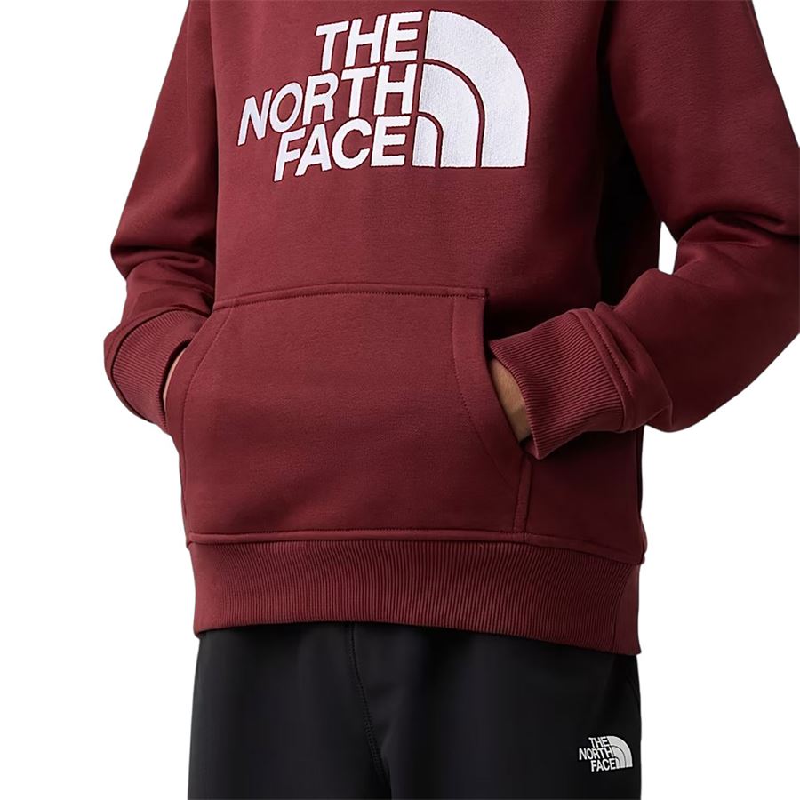  The North Face | NF0A8EHH0VO